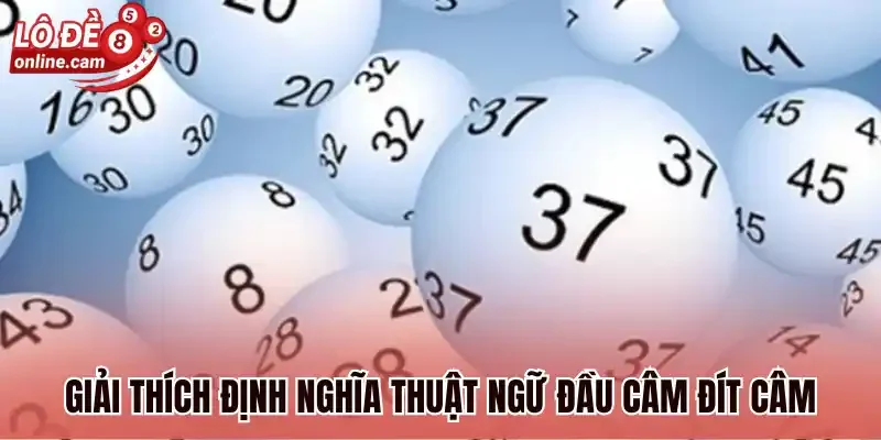 Giải thích định nghĩa thuật ngữ đầu câm đít câm