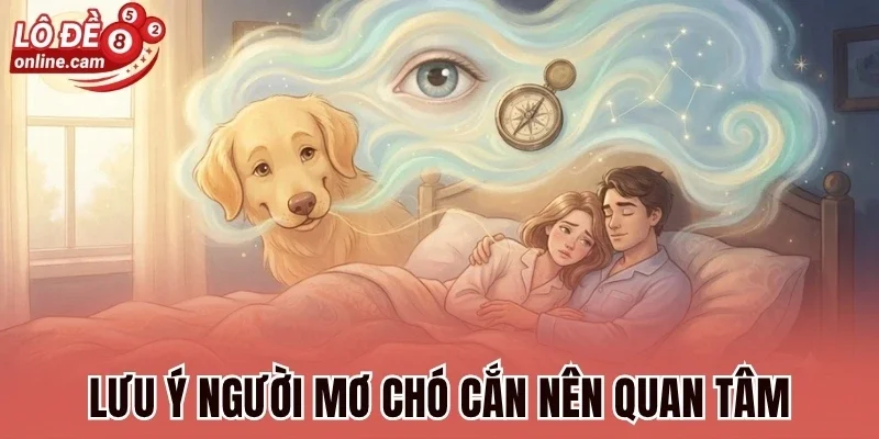 Lưu ý người mơ chó cắn nên quan tâm