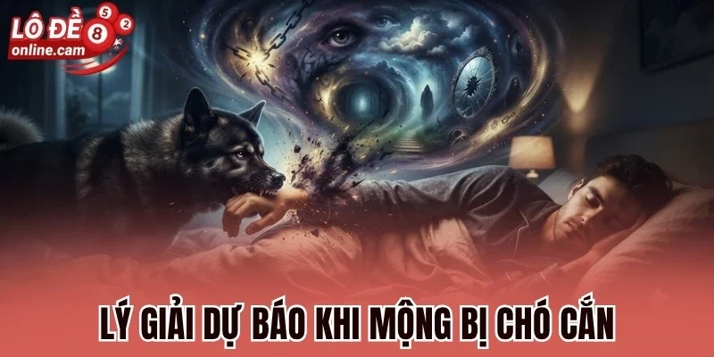 Lý giải dự báo khi mộng bị chó cắn