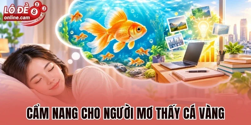 Cẩm nang cho người mơ thấy cá vàng