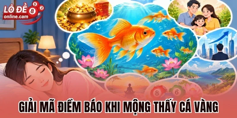Giải mã điềm báo khi mộng thấy cá vàng