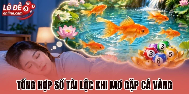 Tổng hợp số tài lộc khi mơ gặp cá vàng