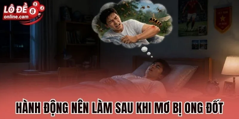 Mơ Bị Ong Đốt - Cảnh Báo Điềm Quan Trọng Và Con Số Sắp Về 3 Hành động nên làm sau khi mơ bị ong đốt