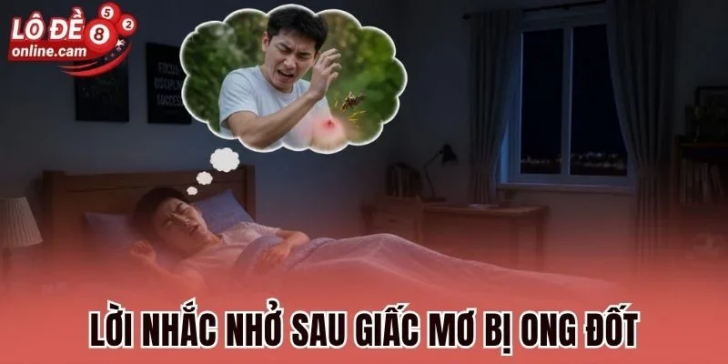 Mơ Bị Ong Đốt - Cảnh Báo Điềm Quan Trọng Và Con Số Sắp Về 2 Lời nhắc nhở sau giấc mơ bị ong đốtLời nhắc nhở sau giấc mơ bị ong đốtLời nhắc nhở sau giấc mơ bị ong đốt