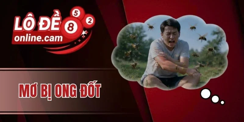 Mơ bị ong đốt