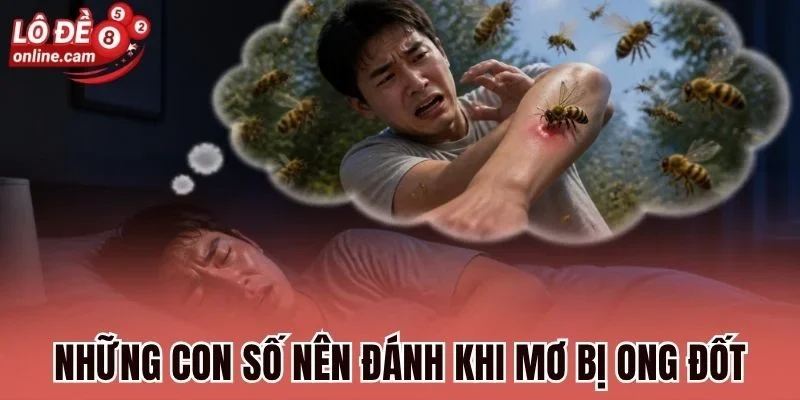 Mơ Bị Ong Đốt - Cảnh Báo Điềm Quan Trọng Và Con Số Sắp Về 1 Những con số nên đánh khi mơ bị ong đốt