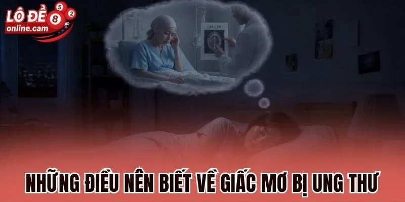 Mơ Bị Ung Thư - Điềm Tốt Hay Xấu? Gợi Ý Vài Con Số Thường Về 1 Những điều nên biết về giấc mơ bị ung thư